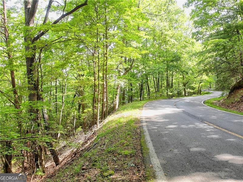3023 Wild Turkey Bluff Property Photo 3