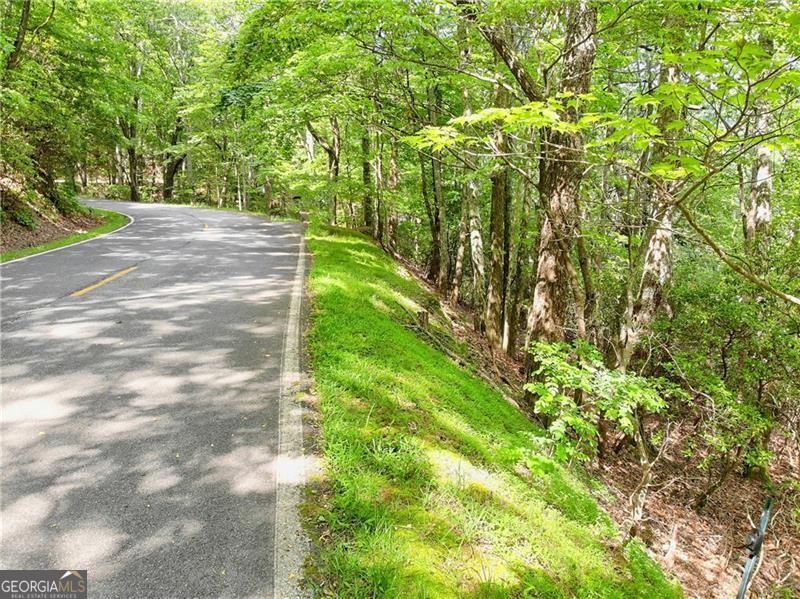 3023 Wild Turkey Bluff Property Photo 4