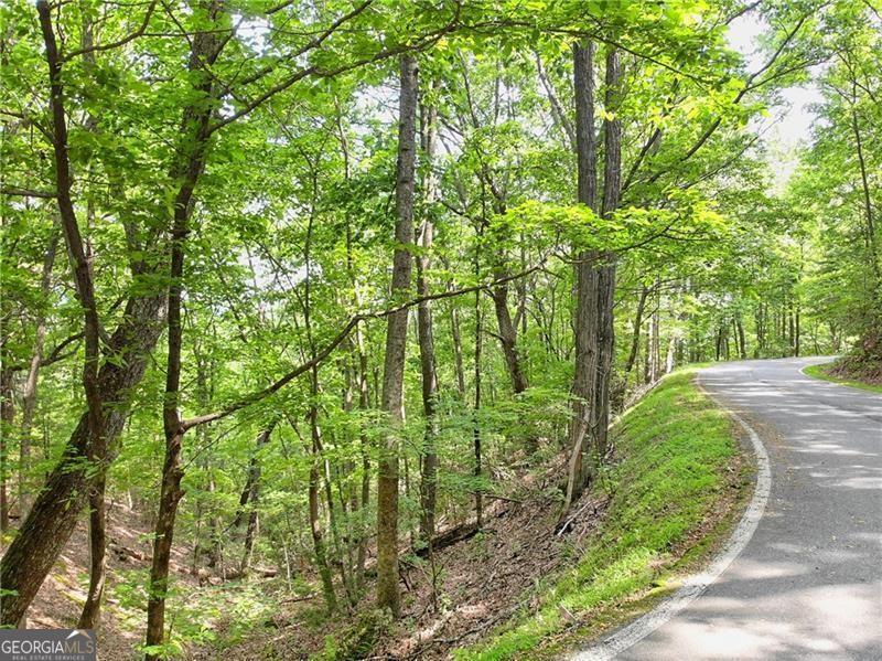 3023 Wild Turkey Bluff Property Photo 6