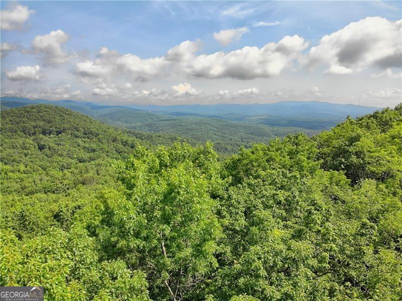 3023 Wild Turkey Bluff Property Photo 7