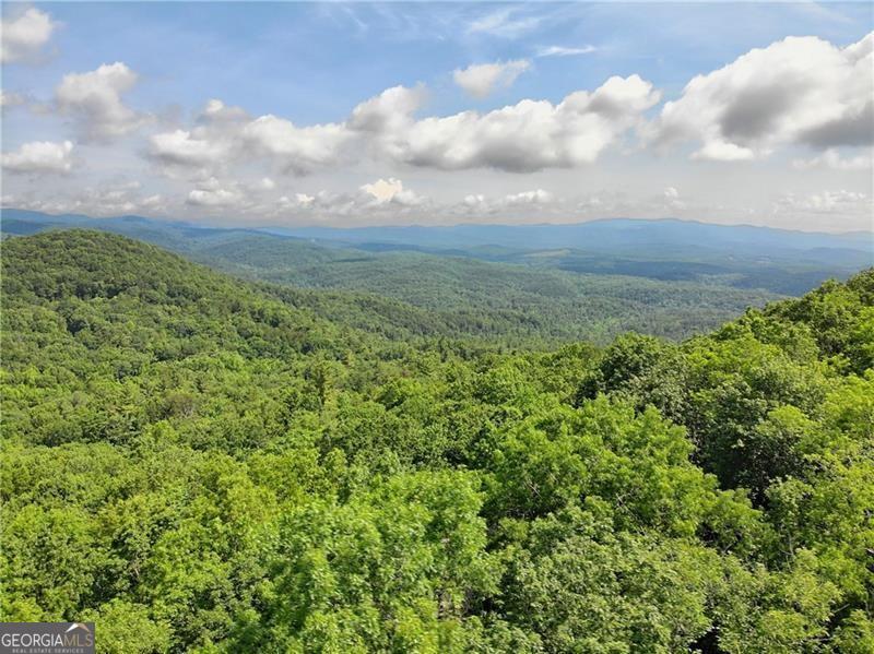 3023 Wild Turkey Bluff Property Photo 8