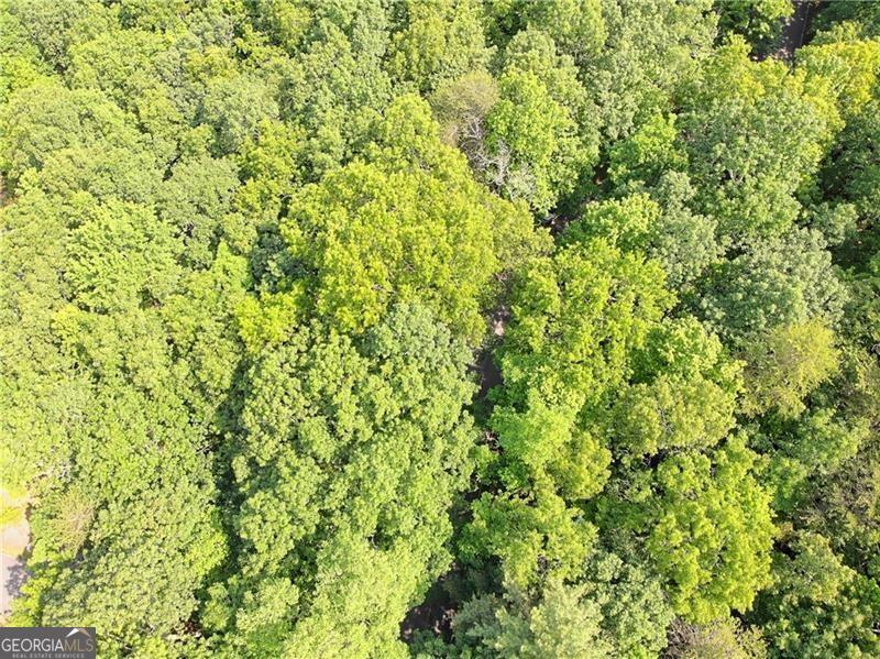3023 Wild Turkey Bluff Property Photo 9