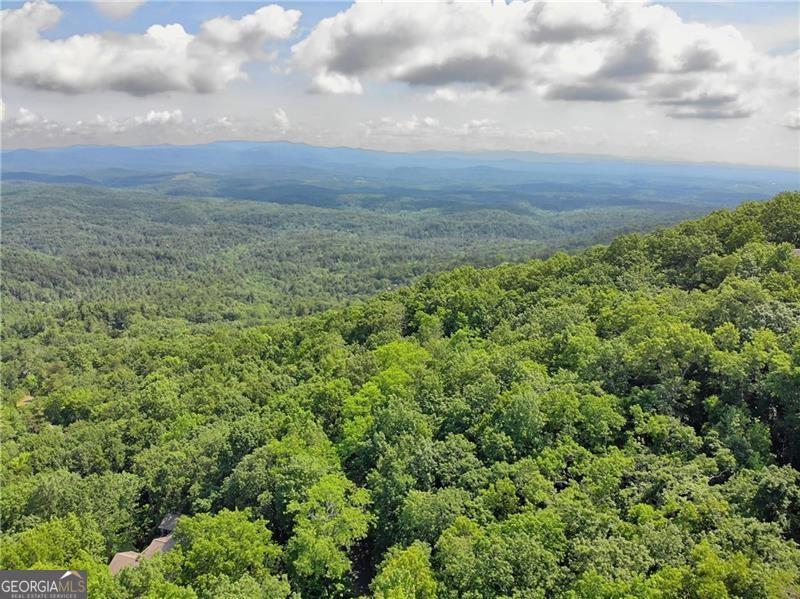 3023 Wild Turkey Bluff Property Photo 10