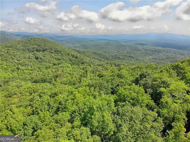 3023 Wild Turkey Bluff Property Photo 11