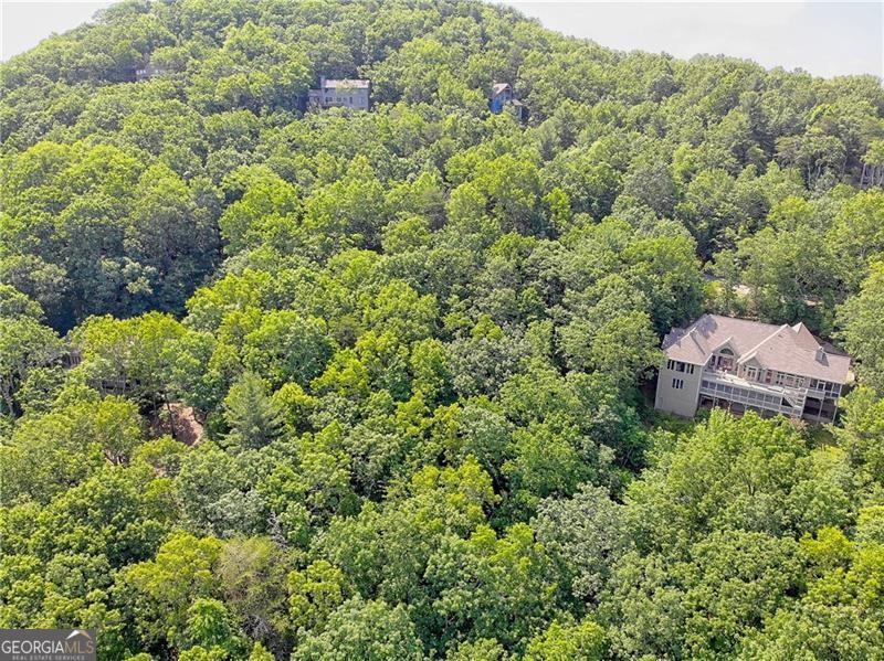3023 Wild Turkey Bluff Property Photo 12