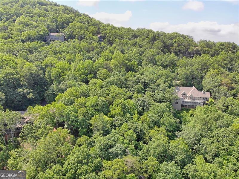 3023 Wild Turkey Bluff Property Photo 13