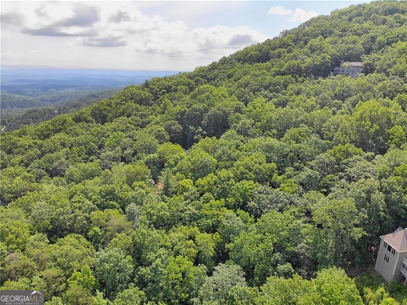 3023 Wild Turkey Bluff Property Photo 14