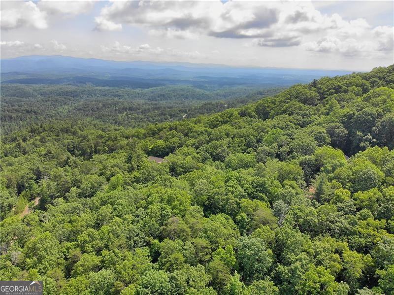 3023 Wild Turkey Bluff Property Photo 15