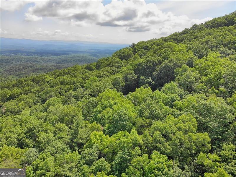 3023 Wild Turkey Bluff Property Photo 16