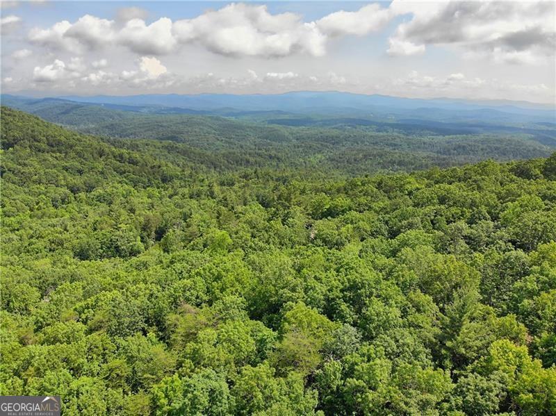 3023 Wild Turkey Bluff Property Photo 17