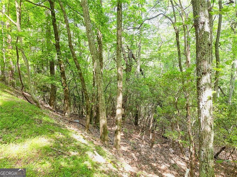 3023 Wild Turkey Bluff Property Photo 18