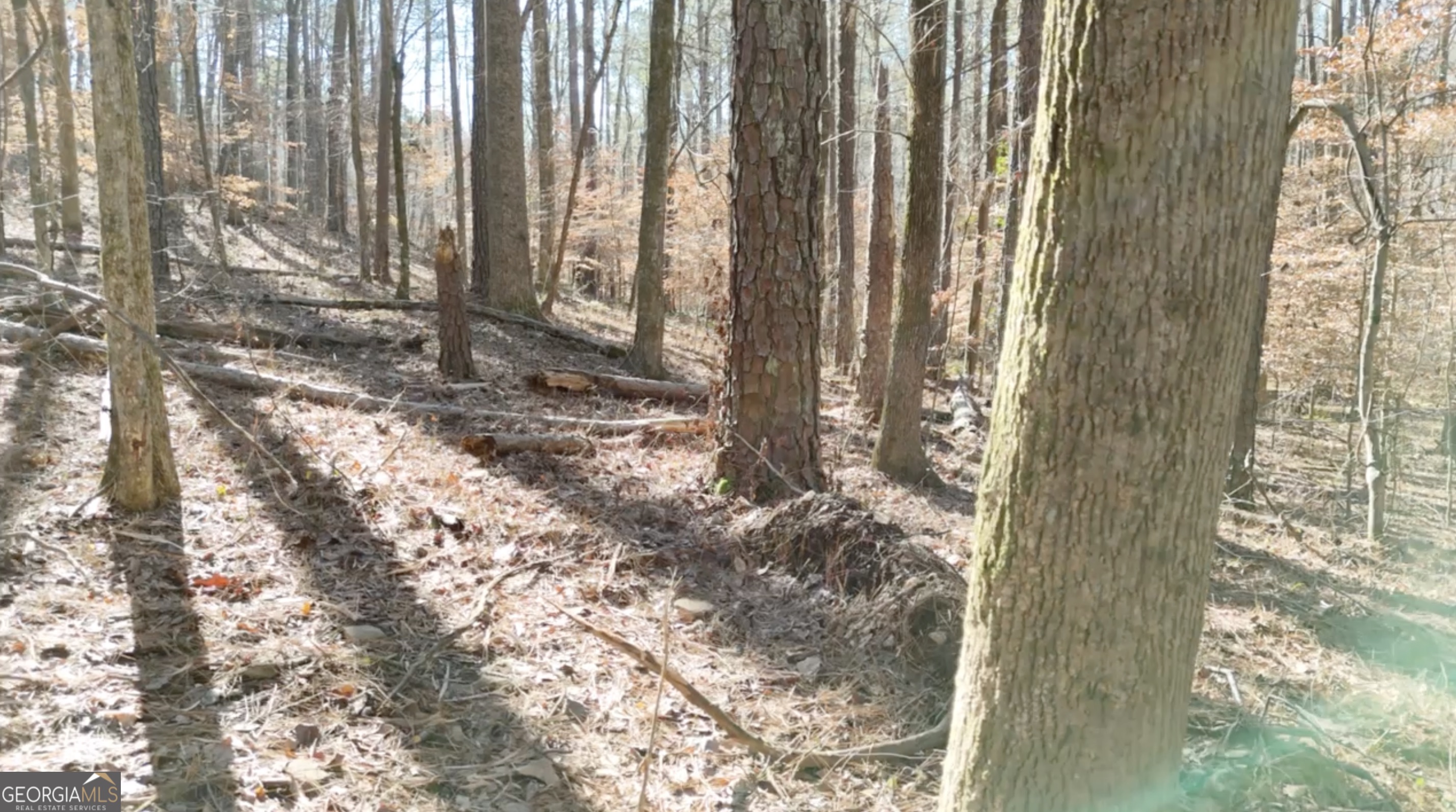 6137 Little Ridge Road Lot 3 Property Photo 4
