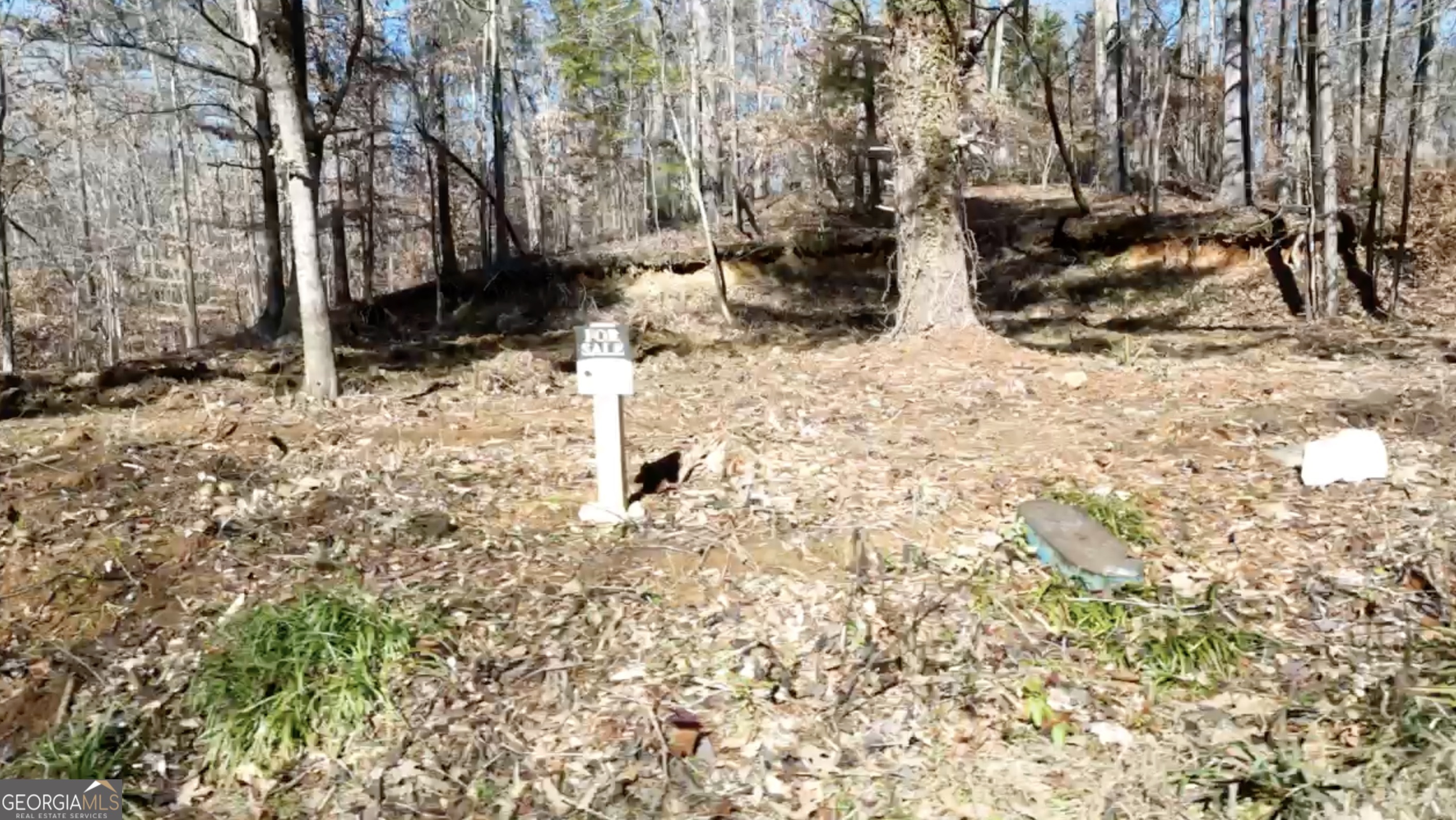 6137 Little Ridge Road Lot 3 Property Photo 5