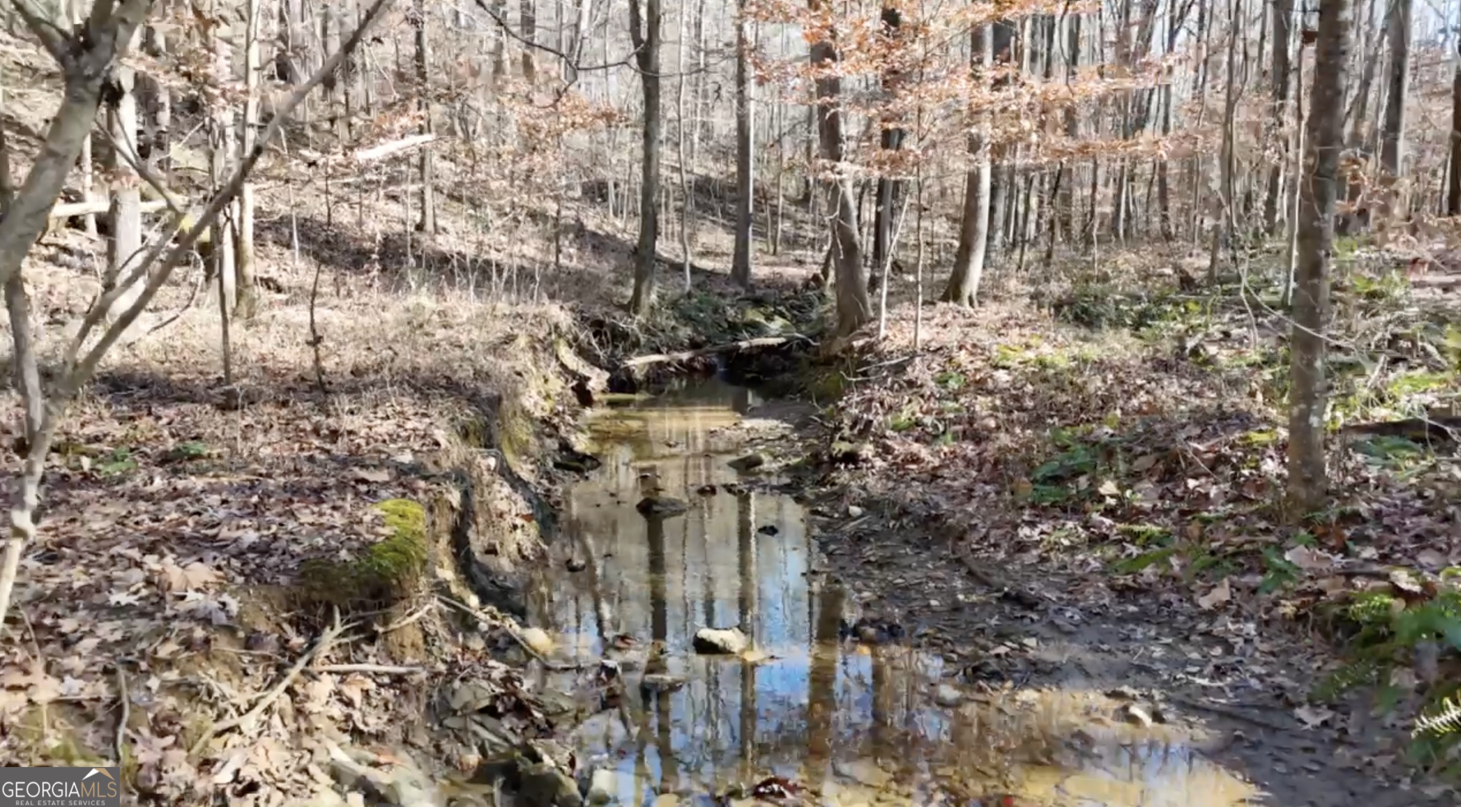 6137 Little Ridge Road Lot 3 Property Photo 8