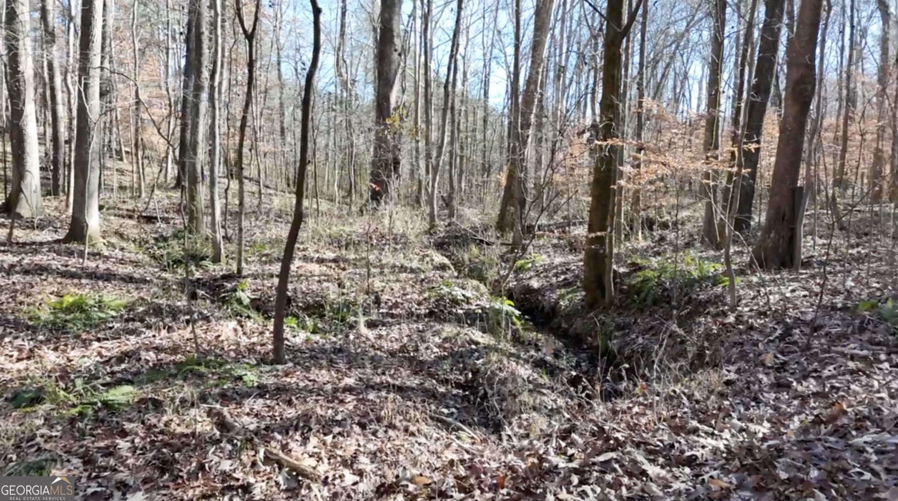6137 Little Ridge Road Lot 3 Property Photo 9