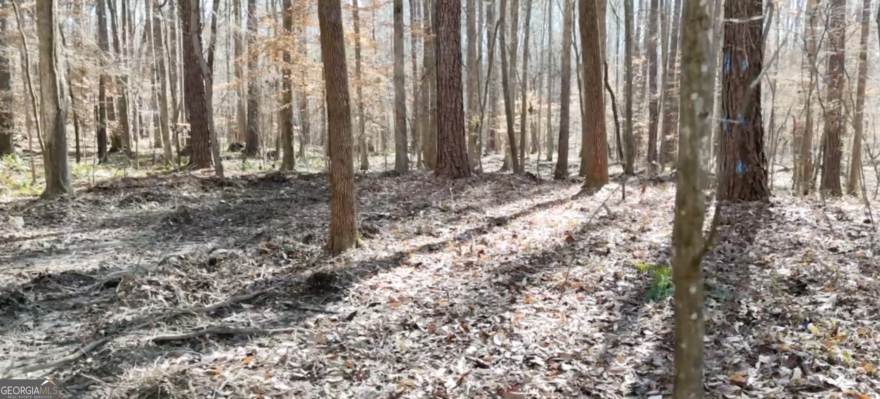6137 Little Ridge Road Lot 3 Property Photo 10