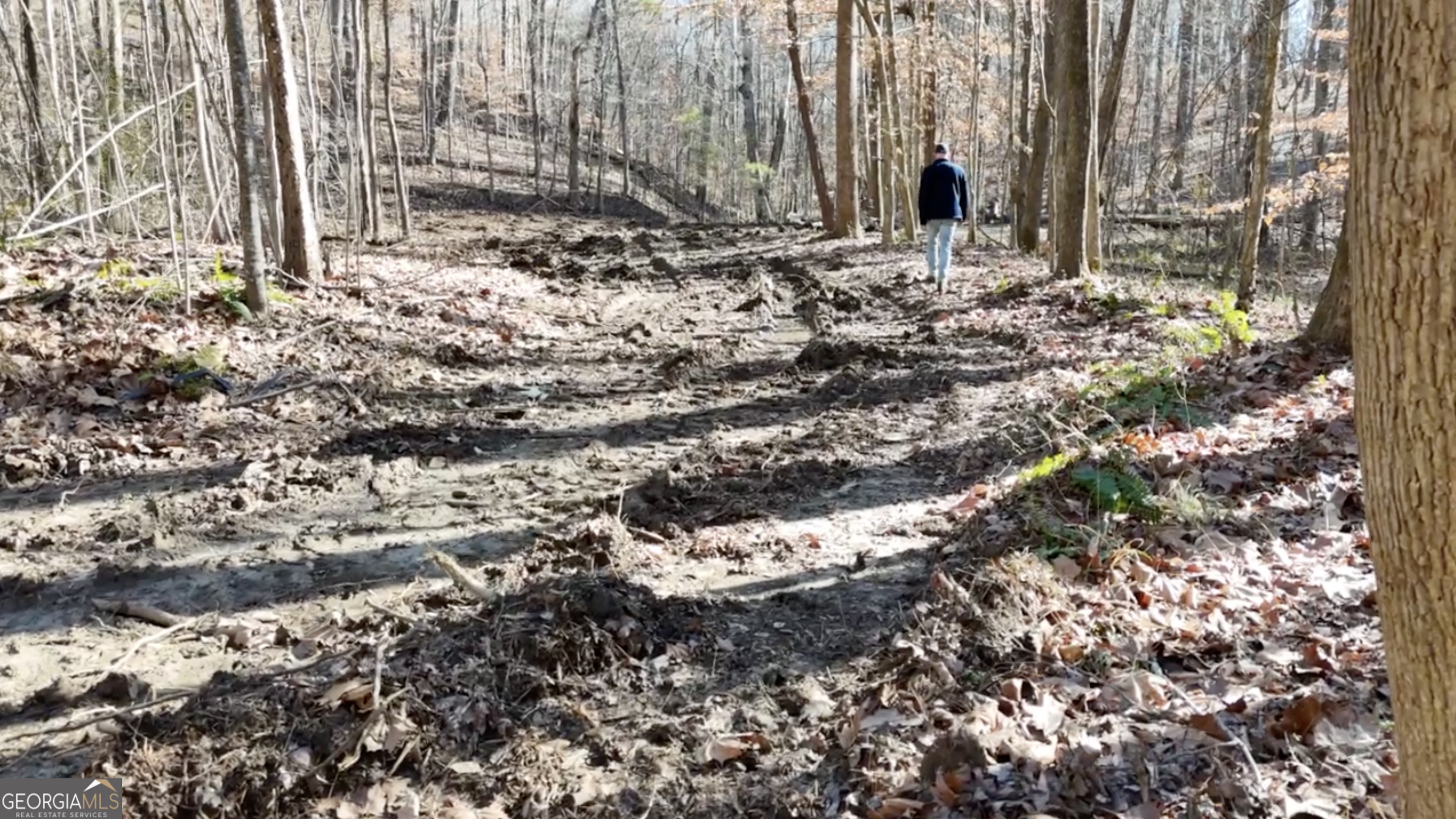 6137 Little Ridge Road Lot 3 Property Photo 11