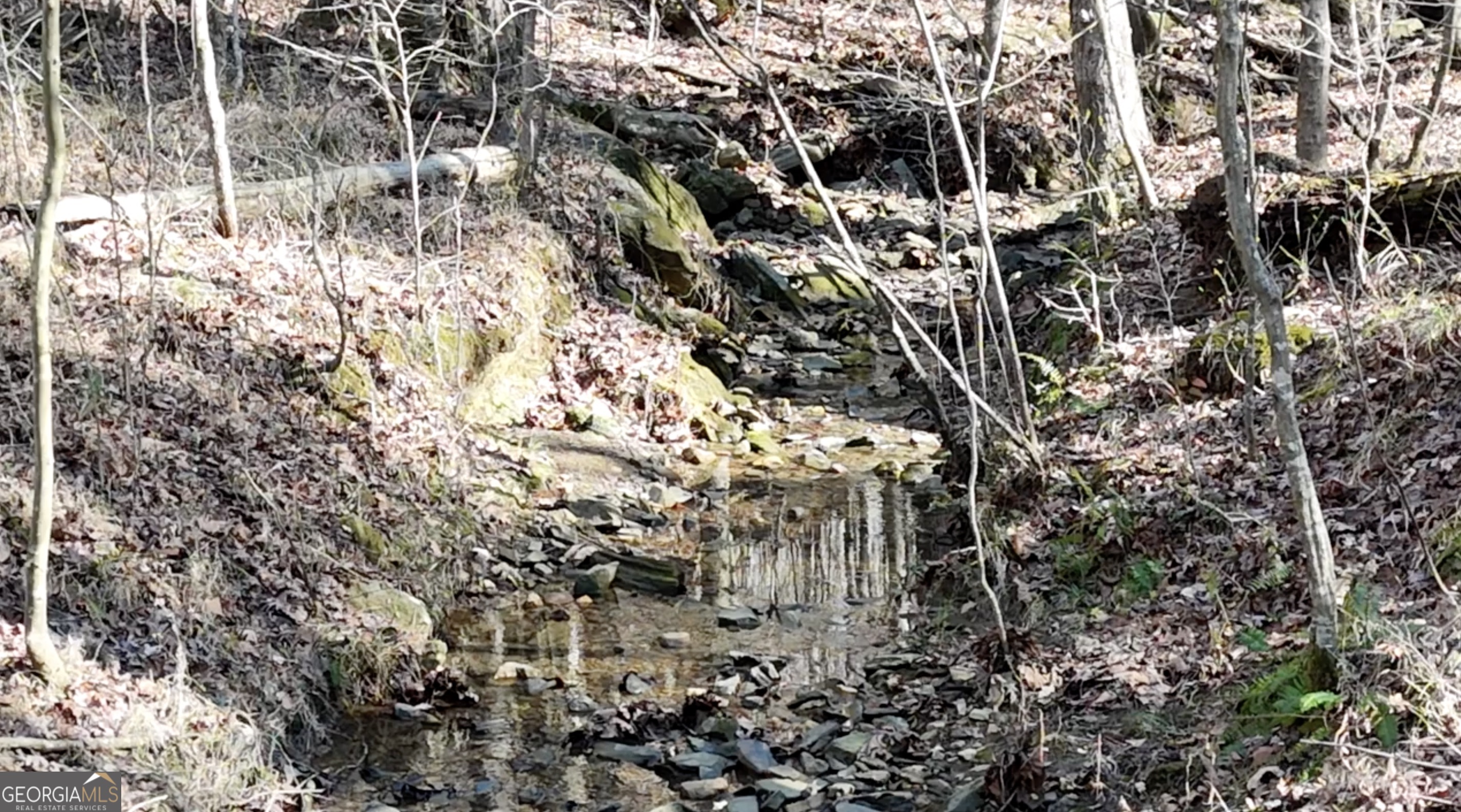 6137 Little Ridge Road Lot 3 Property Photo 14