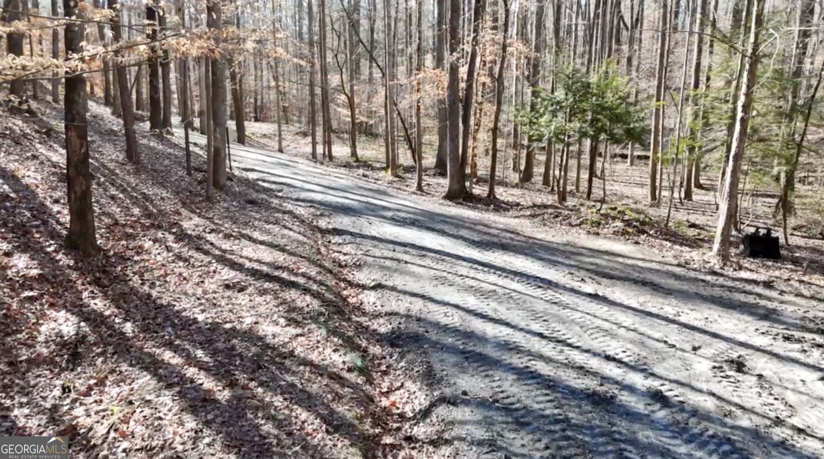 6137 Little Ridge Road Lot 3 Property Photo 15