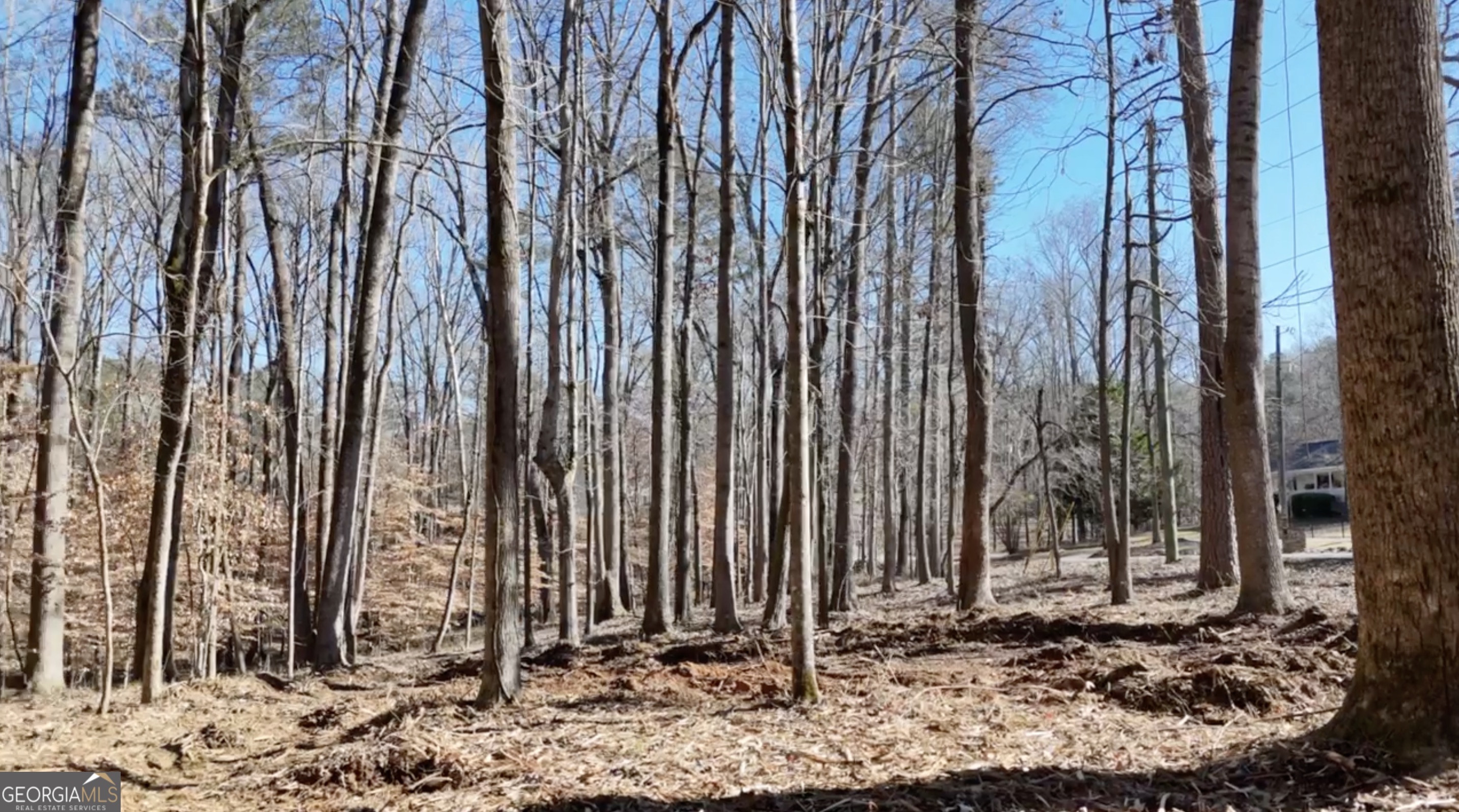 6137 Little Ridge Road Lot 3 Property Photo 17