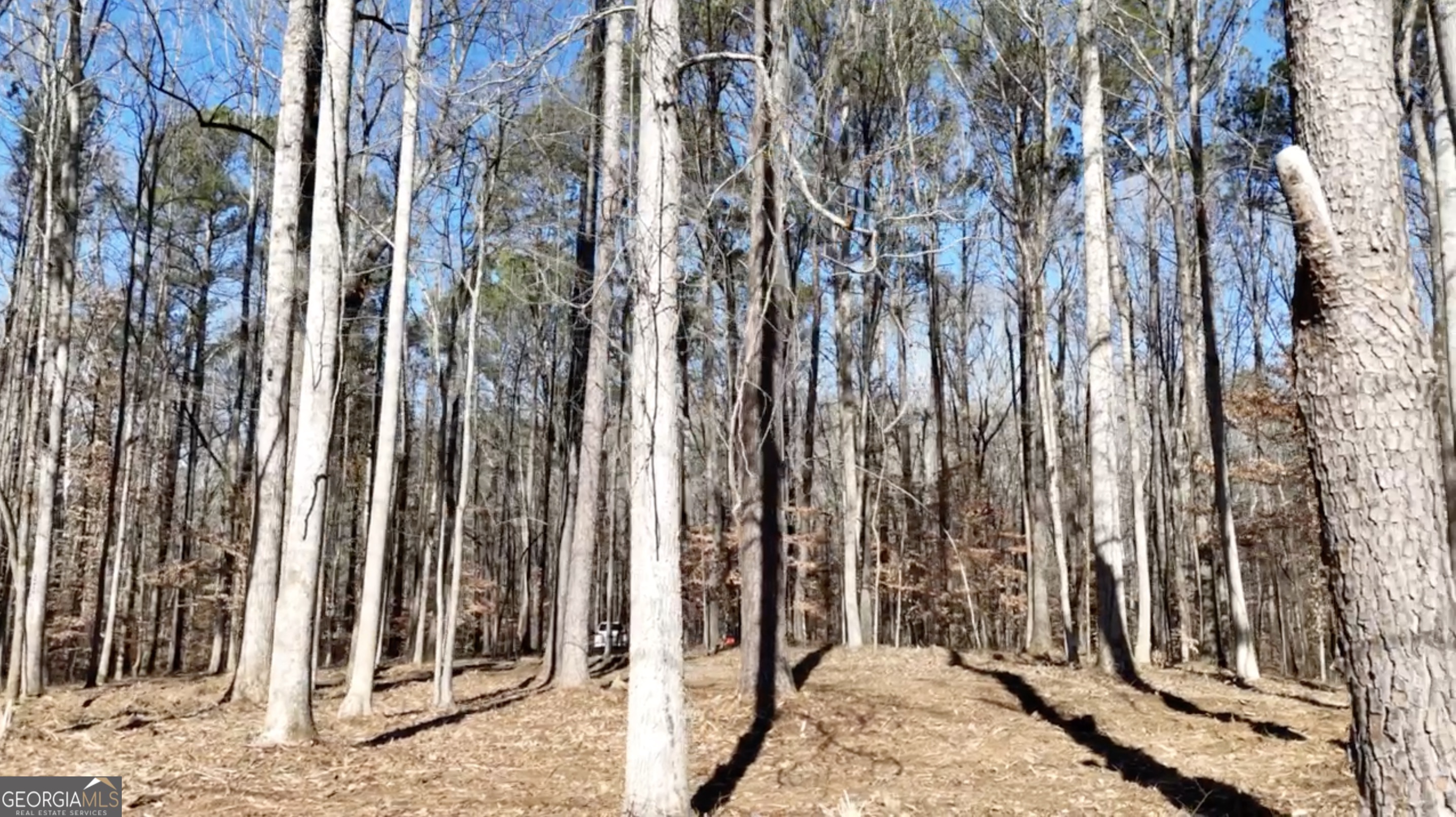 6137 Little Ridge Road Lot 3 Property Photo 18