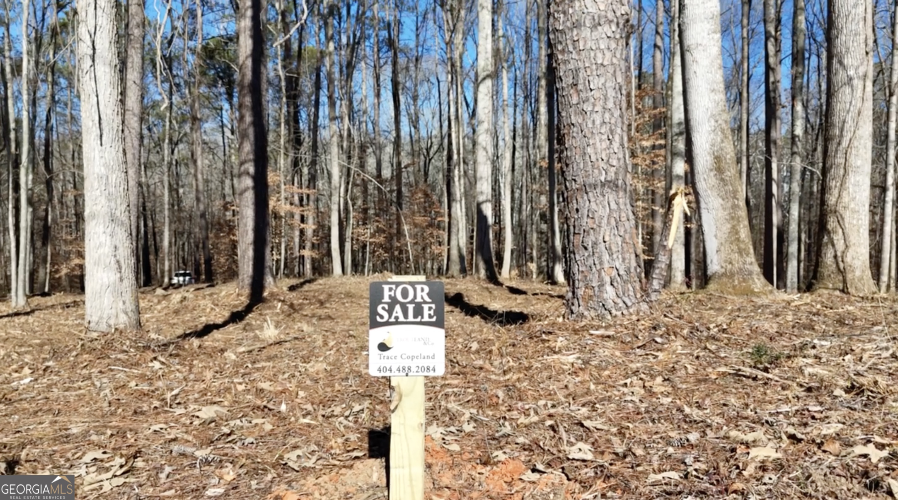 6137 Little Ridge Road Lot 3 Property Photo 19