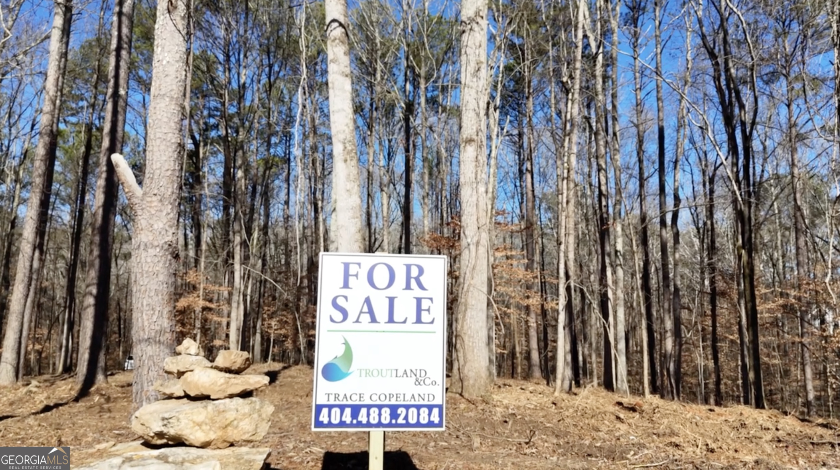 6137 Little Ridge Road Lot 3 Property Photo 20