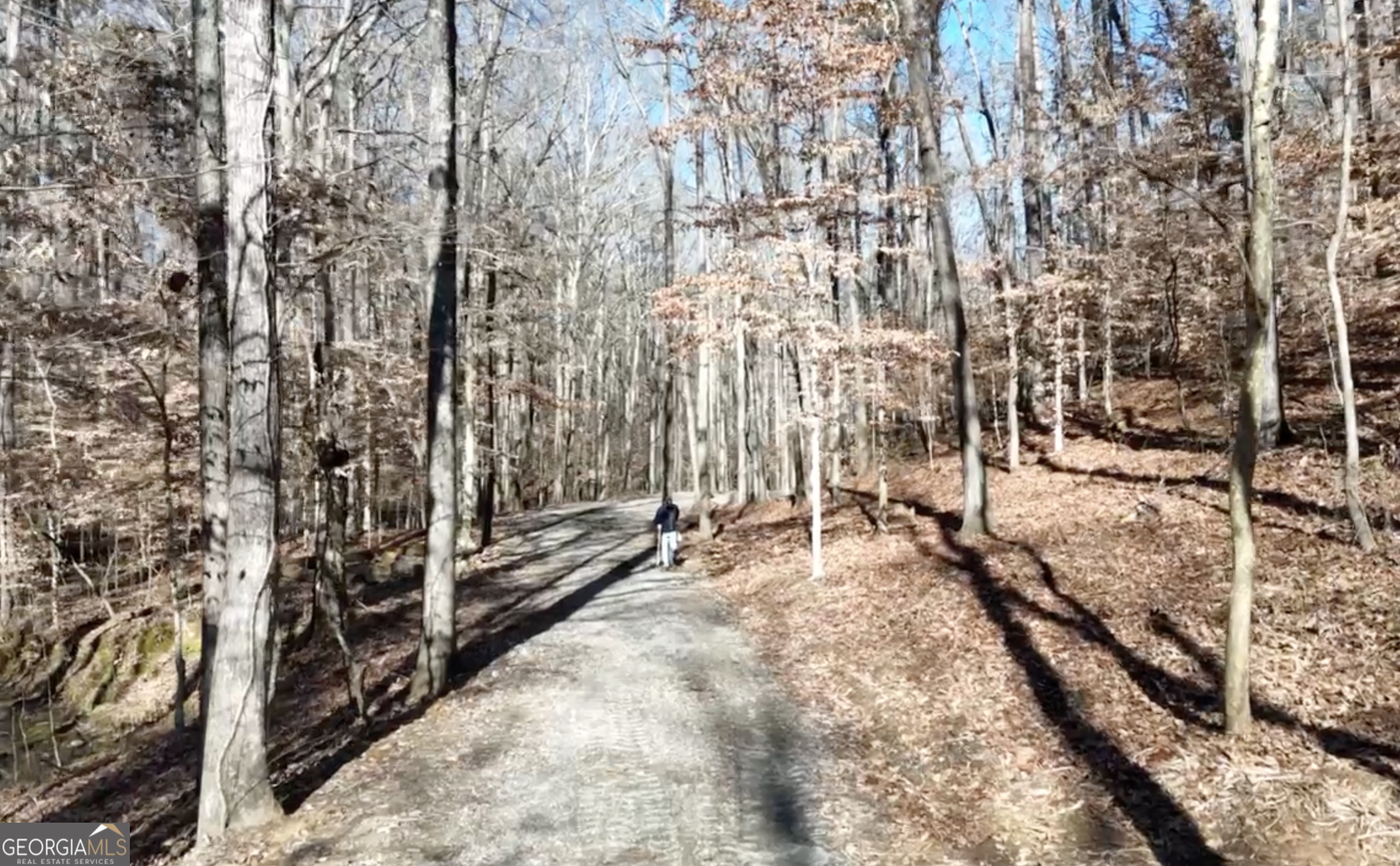 6137 Little Ridge Road Lot 3 Property Photo 27
