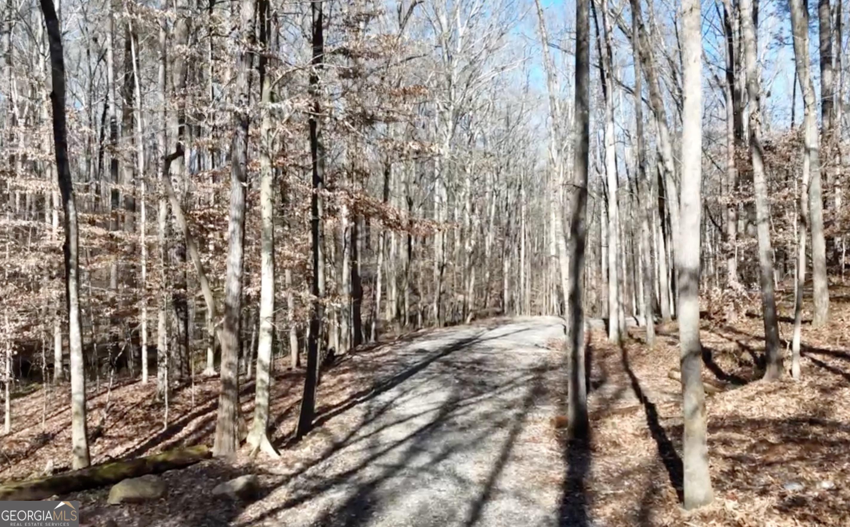 6137 Little Ridge Road Lot 3 Property Photo 28