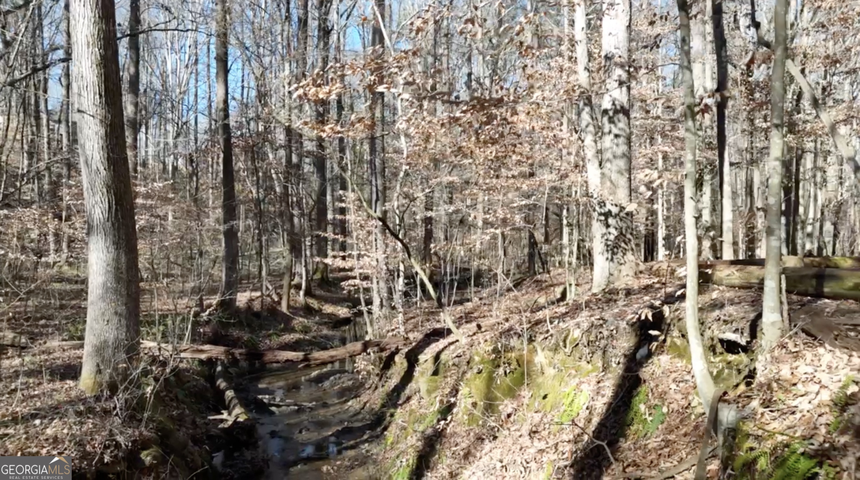 6137 Little Ridge Road Lot 3 Property Photo 30
