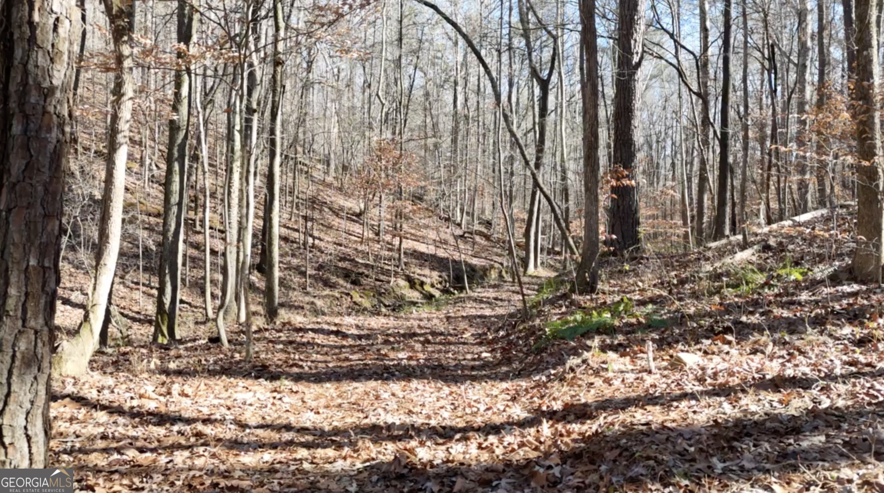 6137 Little Ridge Road Lot 3 Property Photo 35