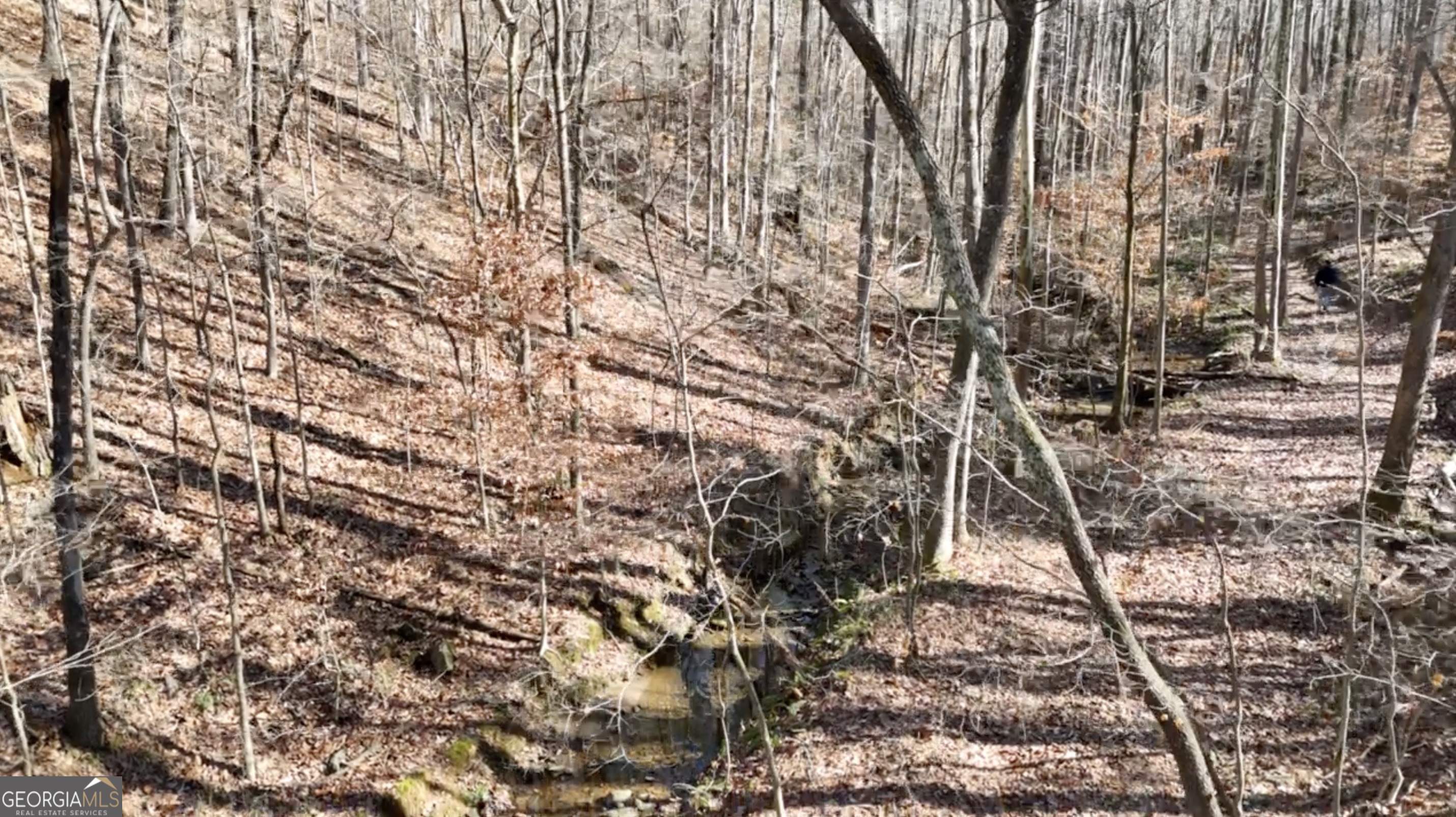 6137 Little Ridge Road Lot 3 Property Photo 36