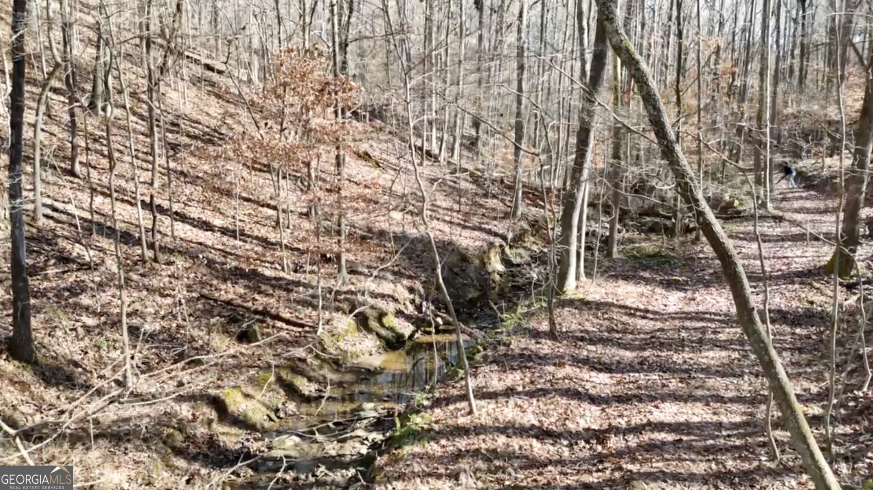6137 Little Ridge Road Lot 3 Property Photo 37