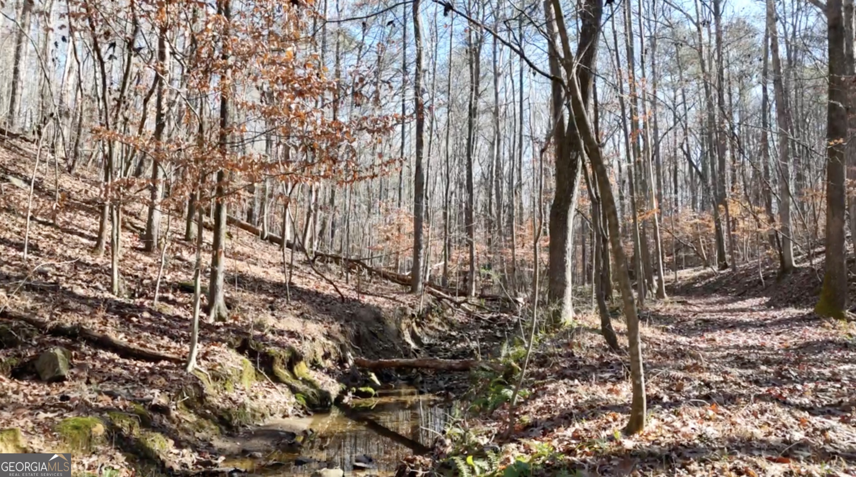 6137 Little Ridge Road Lot 3 Property Photo 38