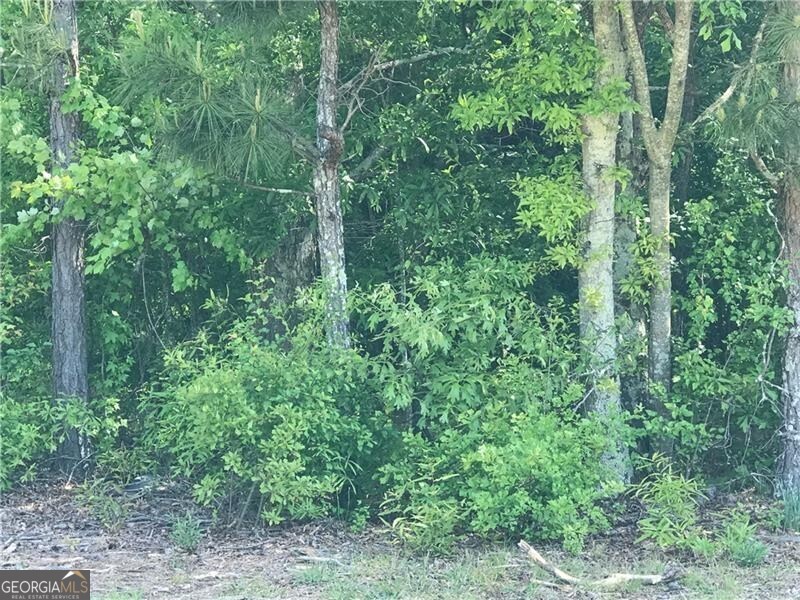 4462 Highway 5 Property Photo 6