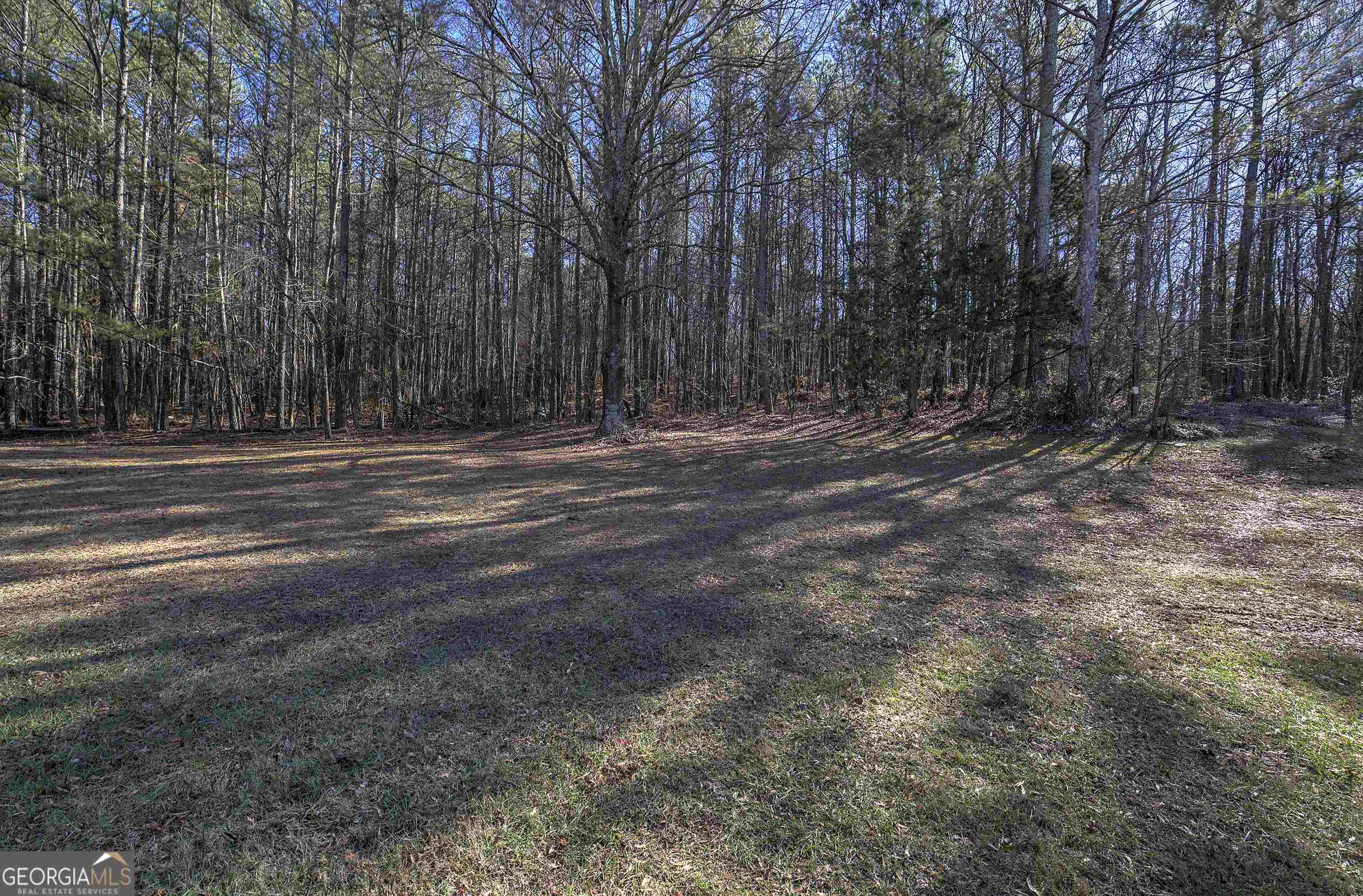 300 Cassville White Lot 6 Property Photo 4