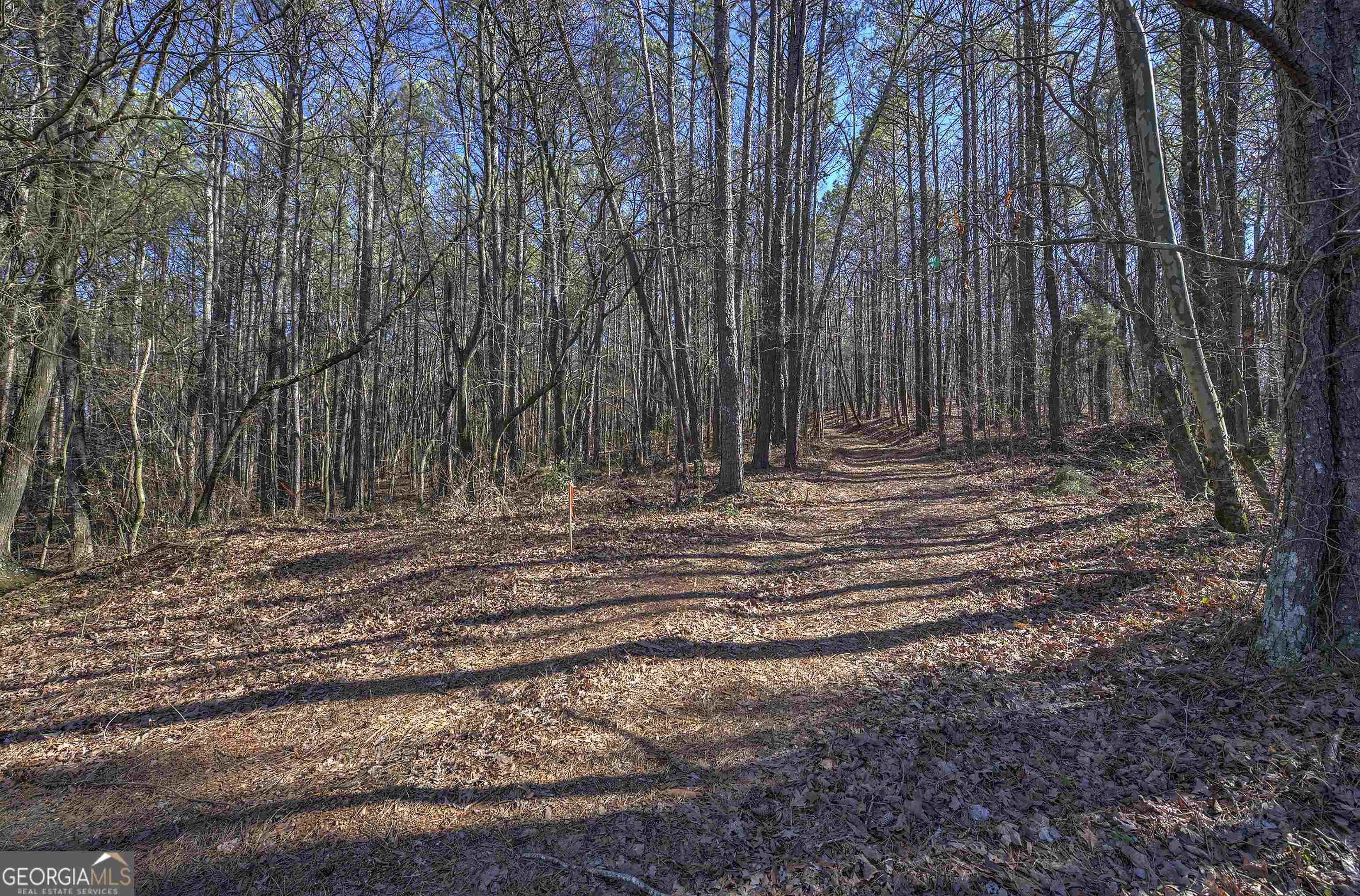 300 Cassville White Lot 6 Property Photo 5