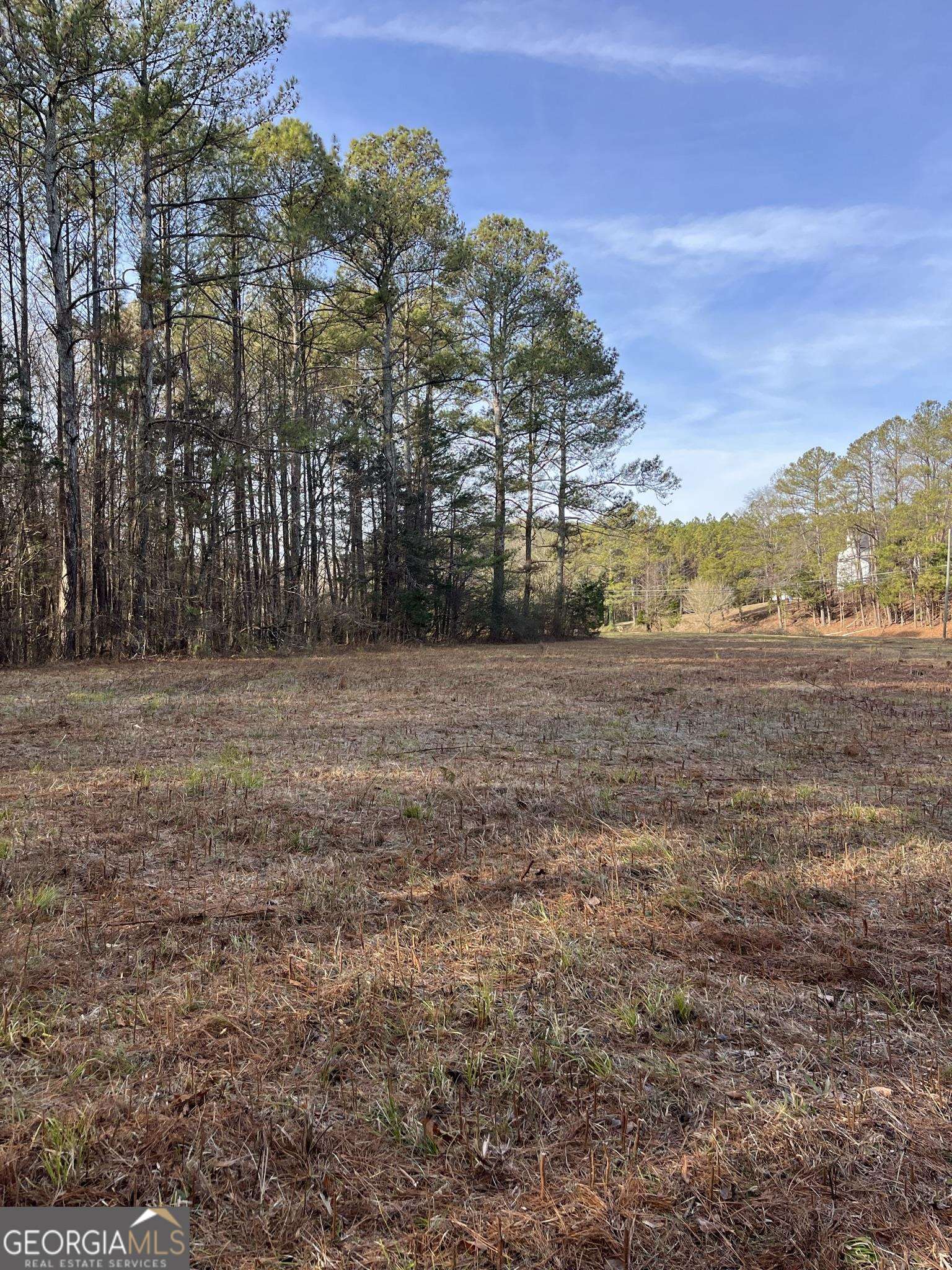 300 Cassville White Lot 6 Property Photo 12