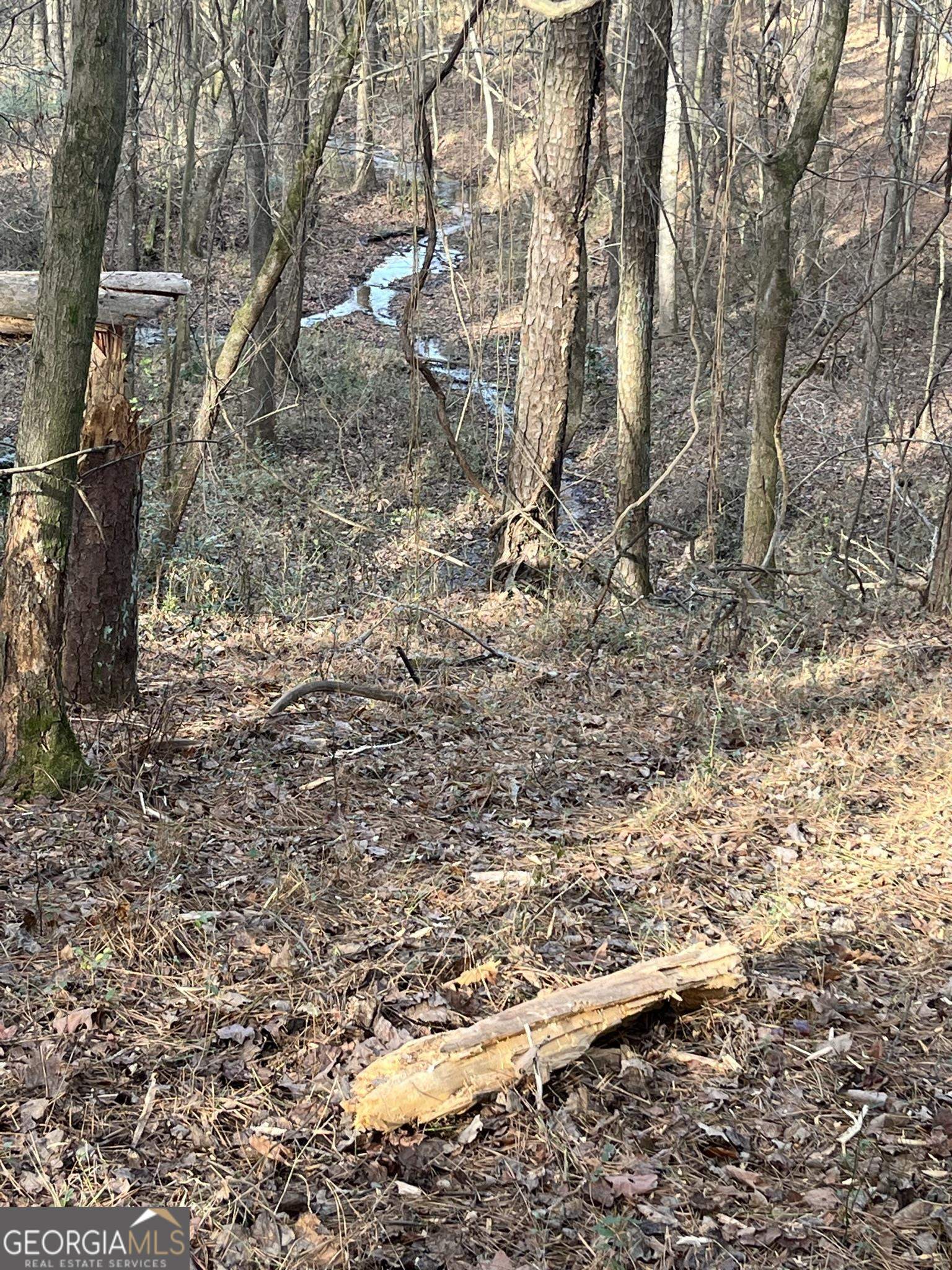 300 Cassville White Lot 6 Property Photo 13