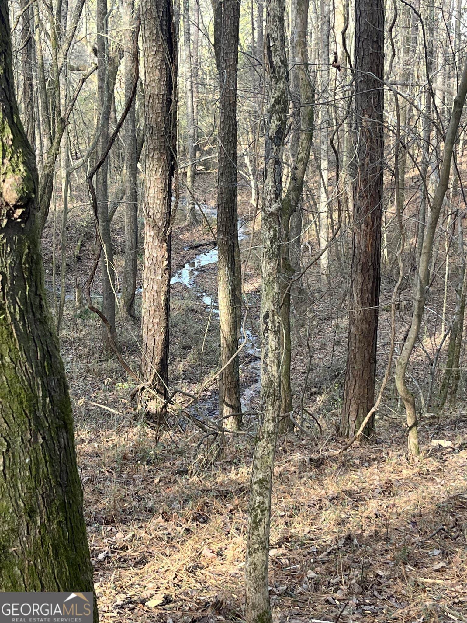 300 Cassville White Lot 6 Property Photo 14