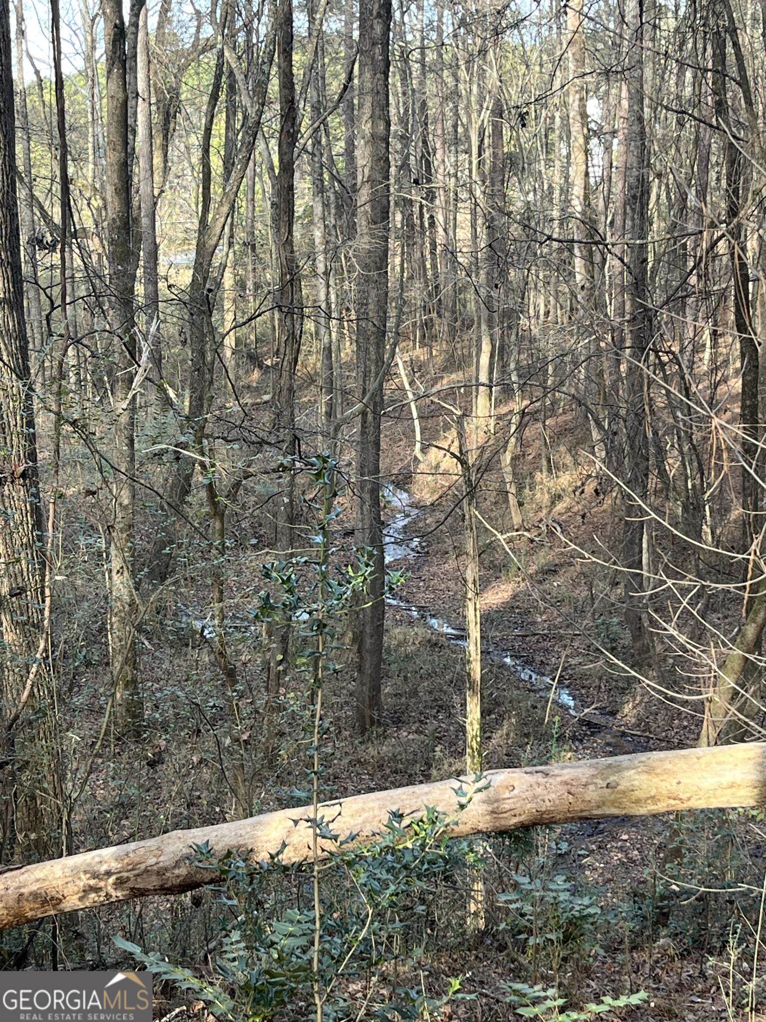 300 Cassville White Lot 6 Property Photo 15