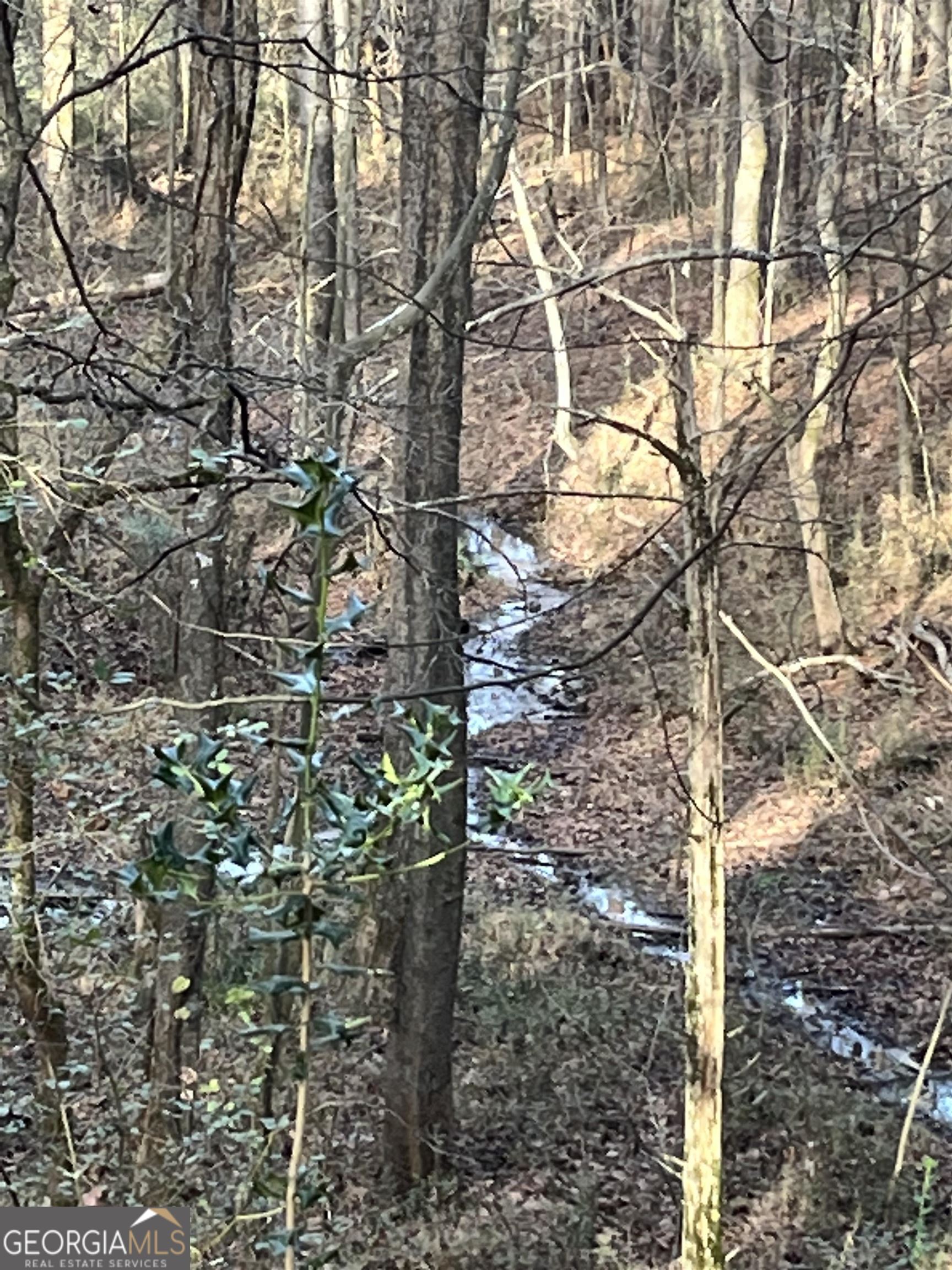 300 Cassville White Lot 6 Property Photo 16