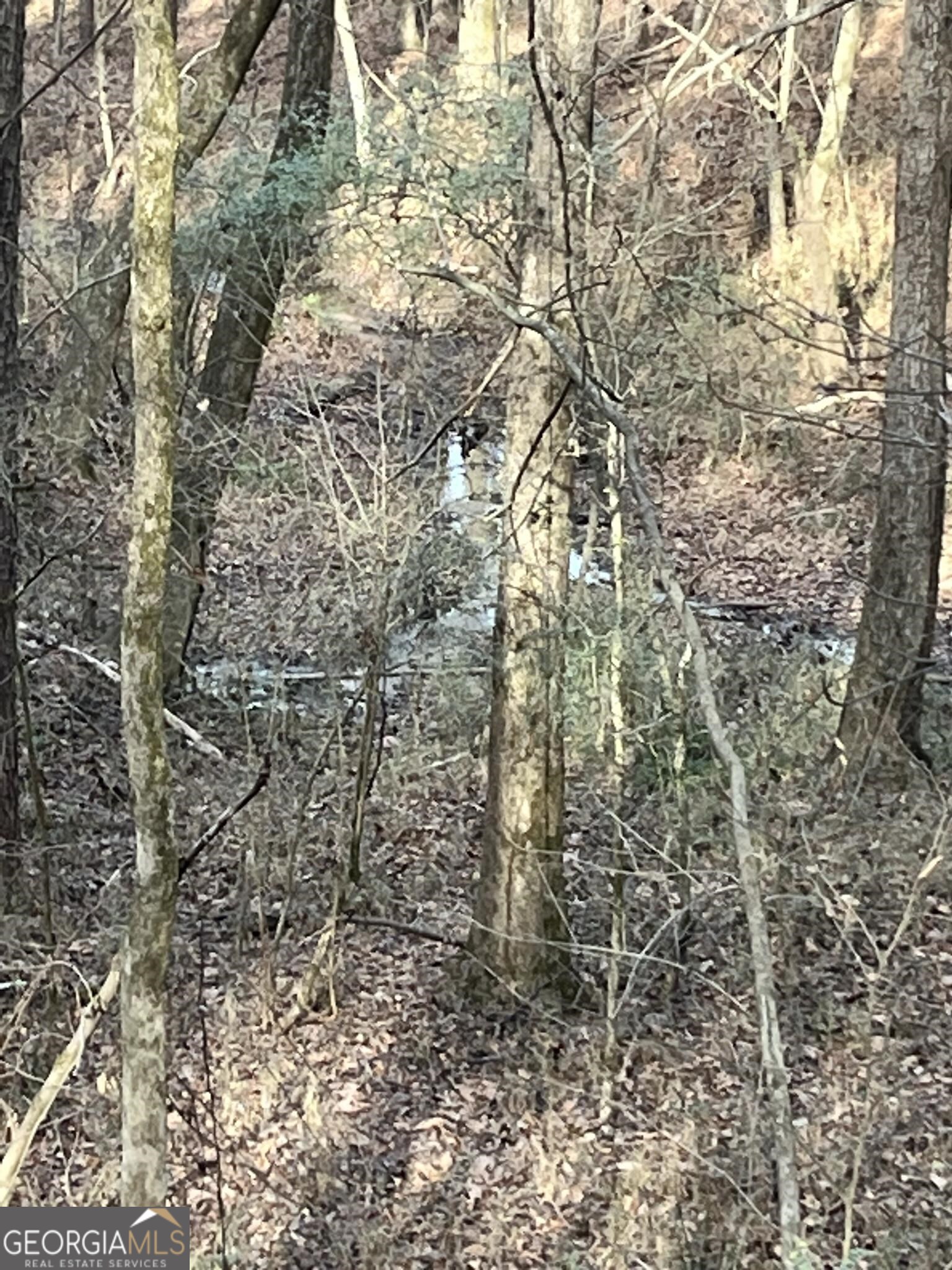 300 Cassville White Lot 6 Property Photo 17