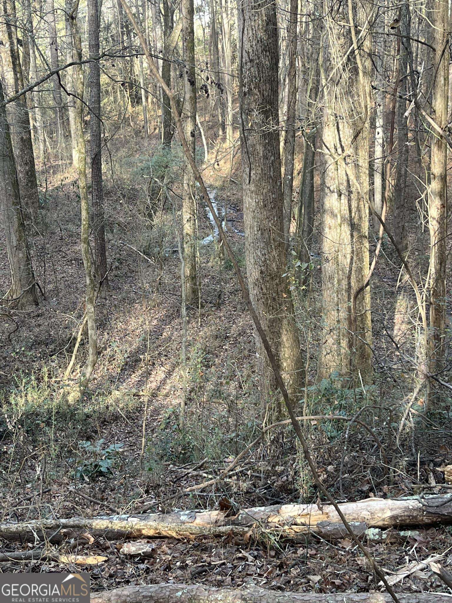 300 Cassville White Lot 6 Property Photo 18
