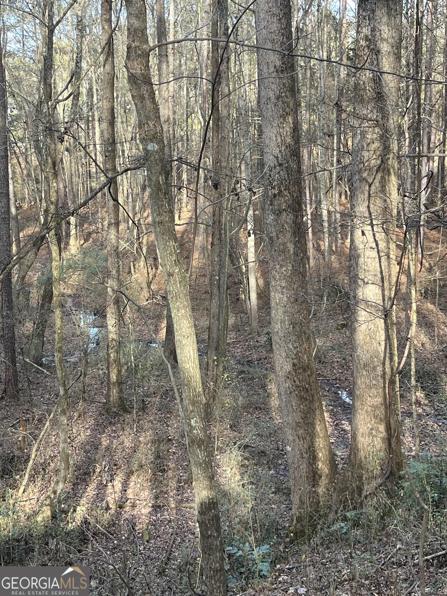 300 Cassville White Lot 6 Property Photo 19