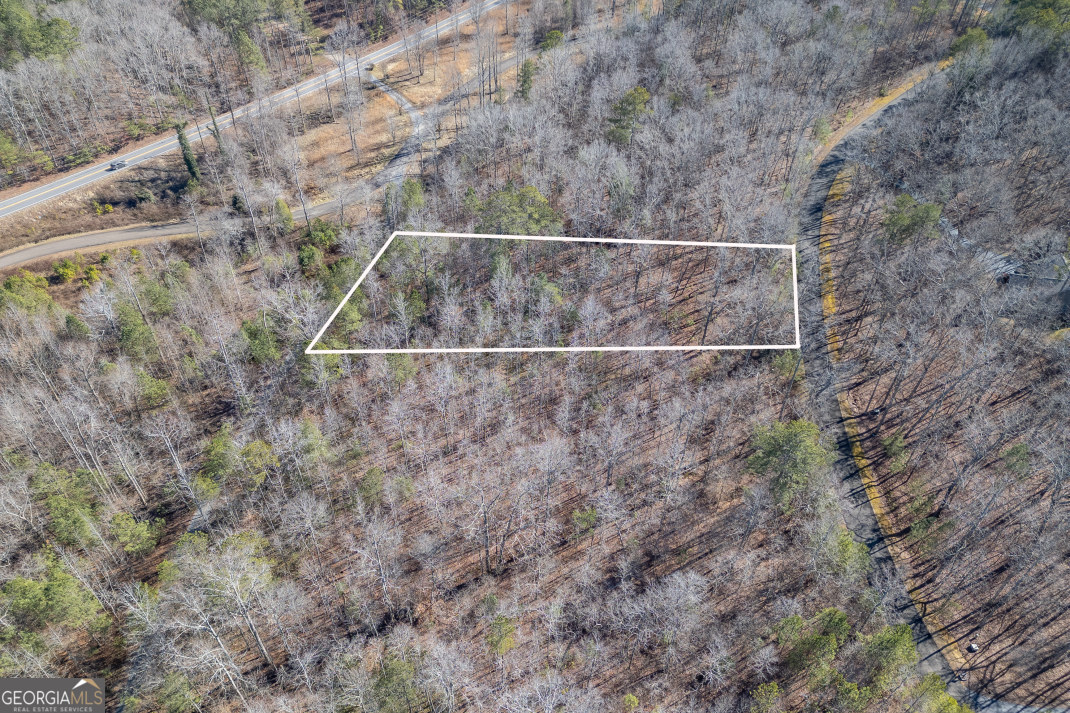 LOT 50 Tranquility At Carters Lake Property Photo 1