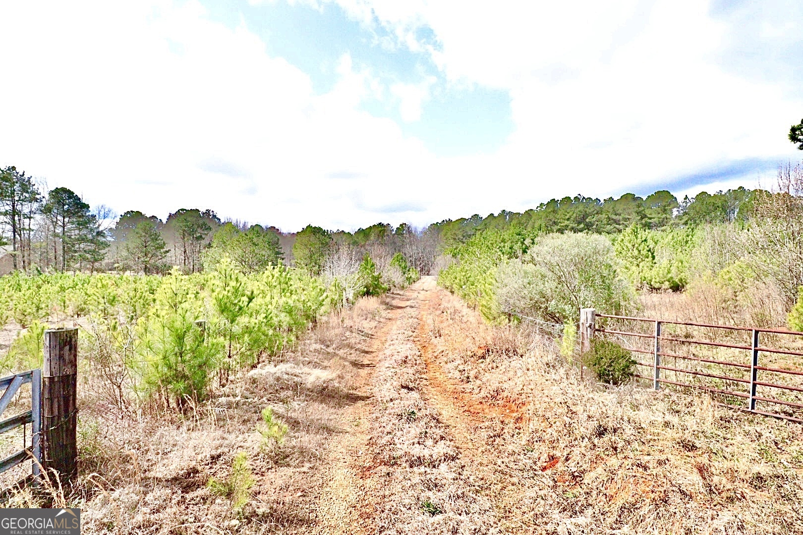 1815 S Ola Road Property Photo 15