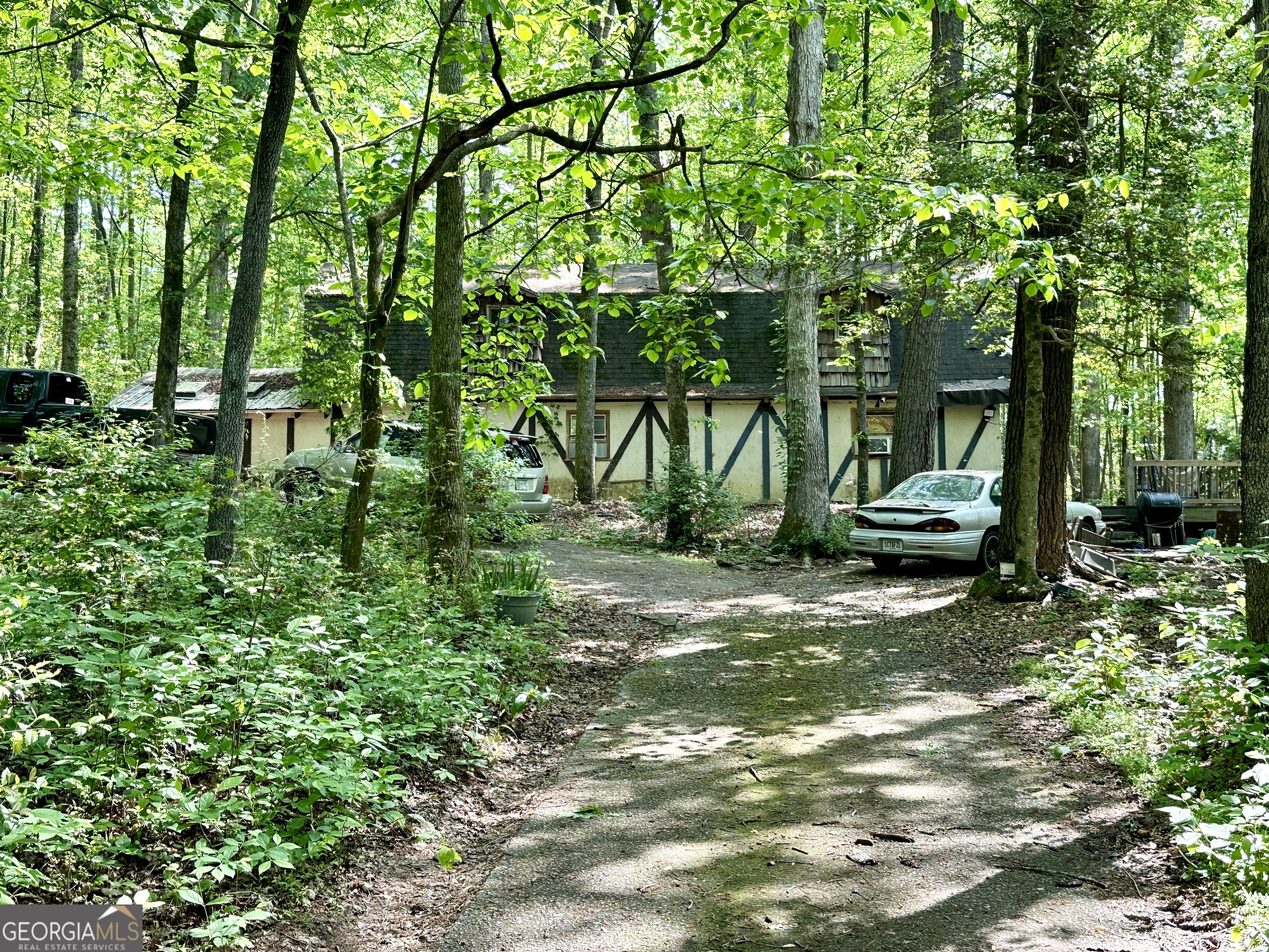 170 Henry Pittman Road Property Photo 7