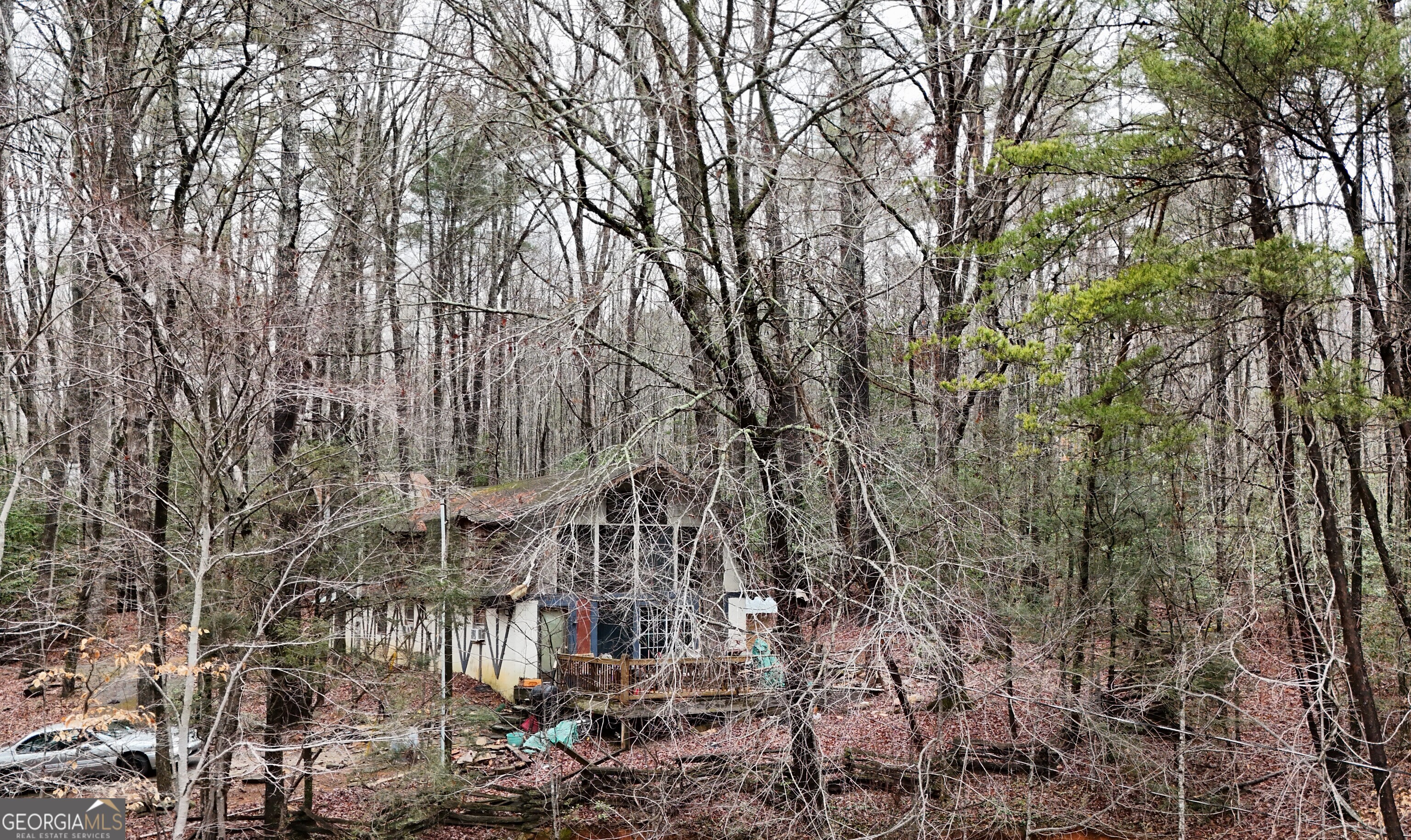 170 Henry Pittman Road Property Photo 18