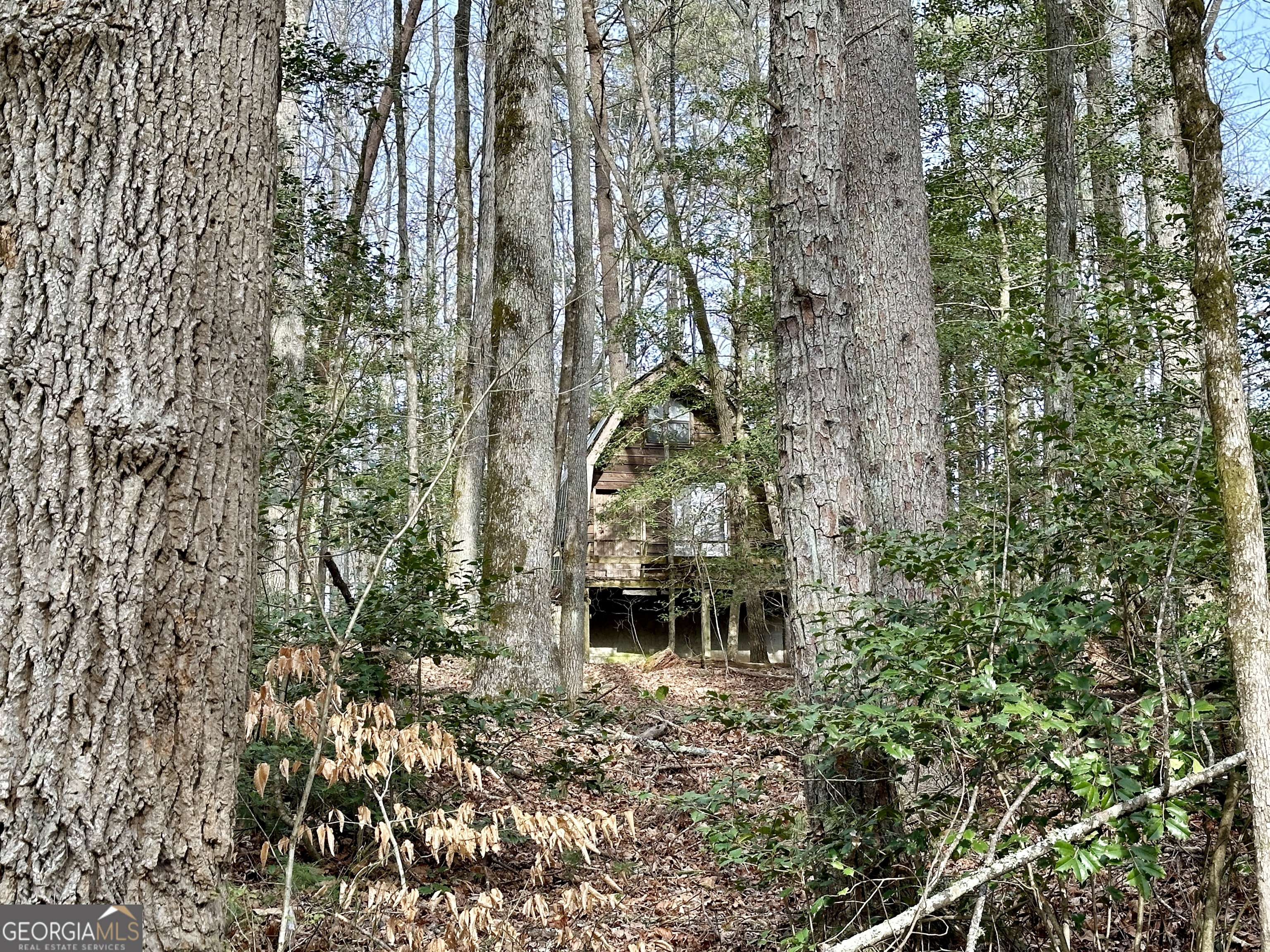 170 Henry Pittman Road Property Photo 22